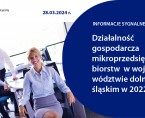 Działalność gospodarcza mikroprzedsiębiorstw w województwie dolnośląskim w 2022 r. Foto