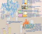 Infografika - Światowy Dzień Mieszkalnictwa 2016 - 6 października Foto