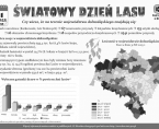 Infografika - Światowy Dzień Lasu - 21 marca Foto