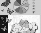 Infografika - Międzynarodowy Dzień Młodzieży - 11 sierpnia Foto