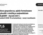 Koniunktura gospodarcza w styczniu 2021 r. Foto