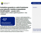 Koniunktura gospodarcza w czerwcu 2025 r. Foto