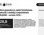 Koniunktura gospodarcza w czerwcu 2018 r. Foto