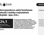 Koniunktura gospodarcza w lipcu 2018 r. Foto