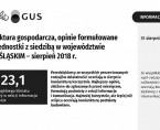 Koniunktura gospodarcza w sierpniu 2018 r. Foto