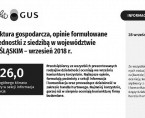 Koniunktura gospodarcza we wrześniu 2018 r. Foto