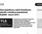 Koniunktura gospodarcza w marcu 2019 r. Foto