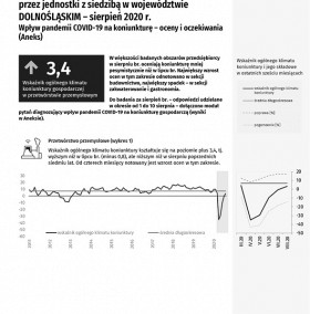 1 strona sygnalnej Koniunktura gospodarcza w województwie dolnośląskim w sierpniu 2020 r.