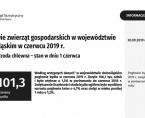Pogłowie zwierząt gospodarskich w województwie dolnośląskim. Stan w czerwcu 2019 r. Foto