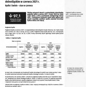 1 strona publikacji sygnalnej