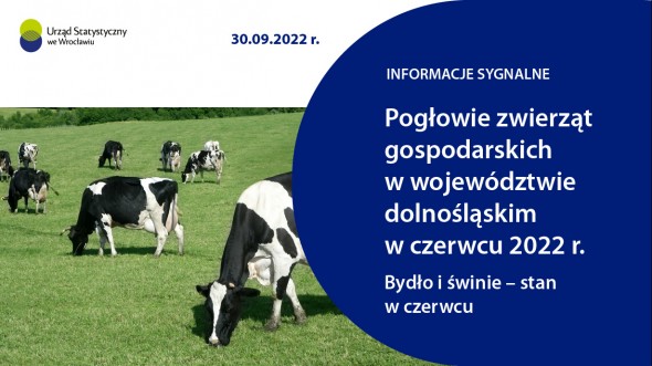 Pogłowie zwierząt gospodarskich w województwie dolnośląskim w czerwcu 2022 r. Bydło i świnie - stan w czerwcu