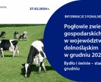 Pogłowie zwierząt gospodarskich w województwie dolnośląskim. Stan w grudniu 2023 r. Foto