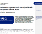 Pogłowie zwierząt gospodarskich w województwie dolnośląskim. Stan w czerwcu 2025 r. Foto