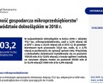 Działalność gospodarcza mikroprzedsiębiorstw w województwie dolnośląskim w 2018 r. Foto