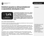 Działalność gospodarcza mikroprzedsiębiorstw w województwie dolnośląskim w 2023 r. Foto
