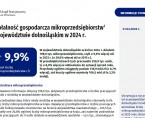 Działalność gospodarcza mikroprzedsiębiorstw w województwie dolnośląskim w 2024 r. Foto