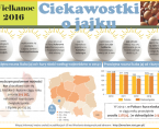 Ciekawostki o jajku Foto