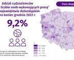 Cudzoziemcy wykonujący pracę w Polsce w 2022 roku Foto