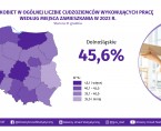Cudzoziemcy wykonujący pracę w Polsce w <br>2023 r. Foto