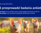 Obowiązkowe badania statystyczne z zakresu rolnictwa. Foto